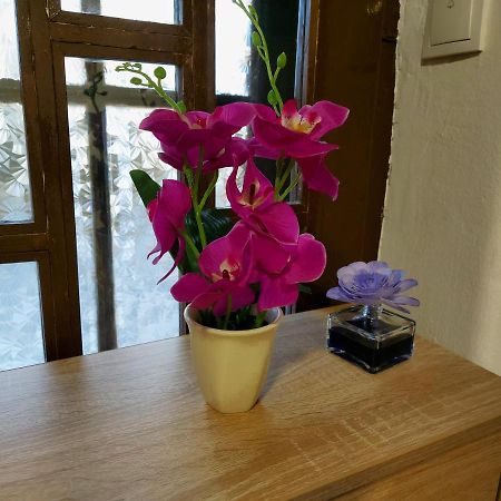 Lovely, Neat And Quite Apartment Dalia, Private Parking Saraievo Exterior foto