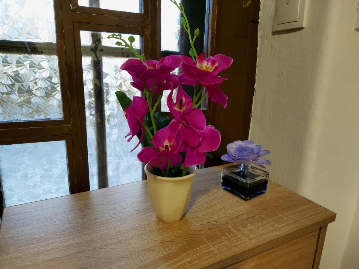 Lovely, Neat And Quite Apartment Dalia, Private Parking Saraievo Exterior foto